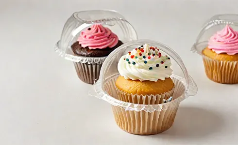 Cupcake and Muffin Take-Out Containers